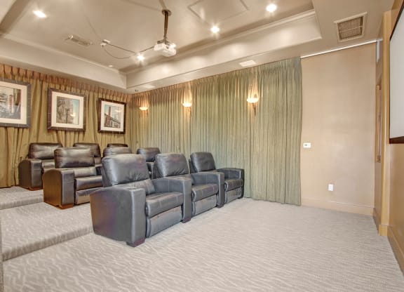 Rancho Belago Theater Room