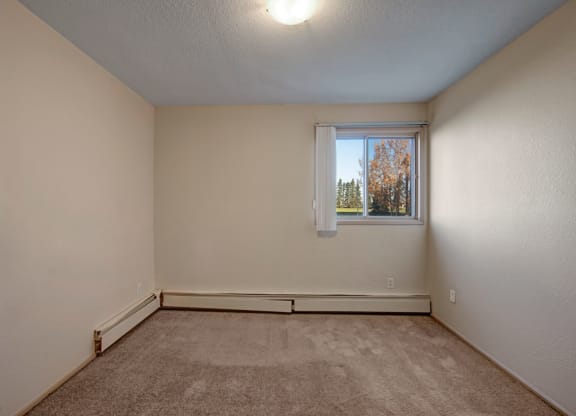Empty bedroom here at Cedar Gardens Apartment Homes with beige carpet and walls, a ceiling light, and a window with a view of trees. The space is minimalistic and well-lit.