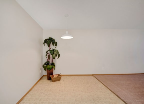 Simple room here at Edgewood Estates Apartment Homes with light beige walls, a potted plant in the corner, and a woven basket. A white ceiling light hangs above tiled and carpeted flooring.