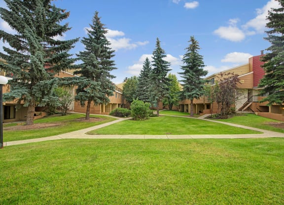 Green courtyard here at Lakewood Heights Apartment Homes with lush grass, surrounded by tall pine trees and two-story beige buildings. A clear blue sky and pathways create a serene atmosphere.