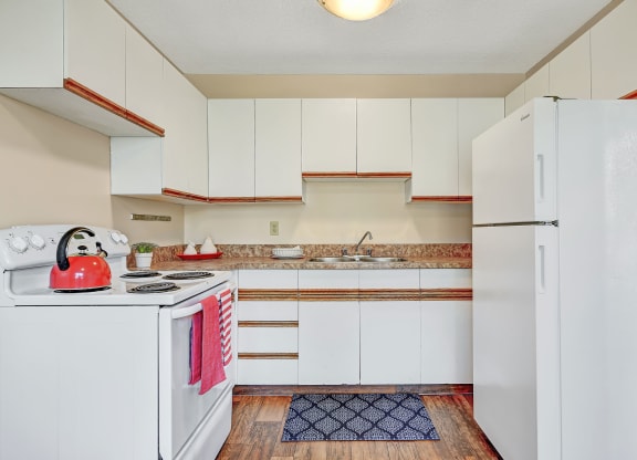 Vista Village Kitchen Apartments for rent in Grande Prairie, AB