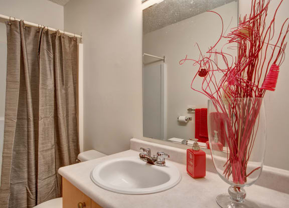 Small bathroom here at Villagio Apartment Homes with gray shower curtain, white sink and countertop. Red soap dispenser and decorative red twigs in vase add a pop of color.