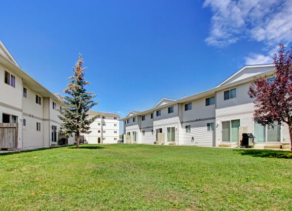 Spacious grassy courtyard here at Westhaven Estates Apartment Homes flanked by two-story white apartment buildings under a clear blue sky. Centered are tall trees, creating a serene atmosphere.