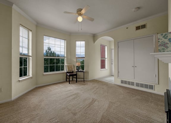 Camelback Pointe Living Room Windows Apartments in Colorado Springs, CO