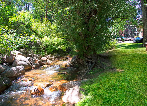 A tranquil scene near Cheyenne Creek Apartment Homes with a clear stream flowing over rocks shaded by leafy trees, set beside a green grassy area, evoking a serene and peaceful atmosphere.