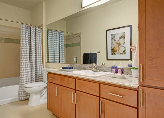 Elements at Briargate Bathroom Apartments in Colorado Springs, CO