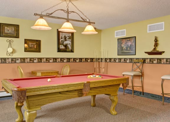 Heritage Park Pool Table