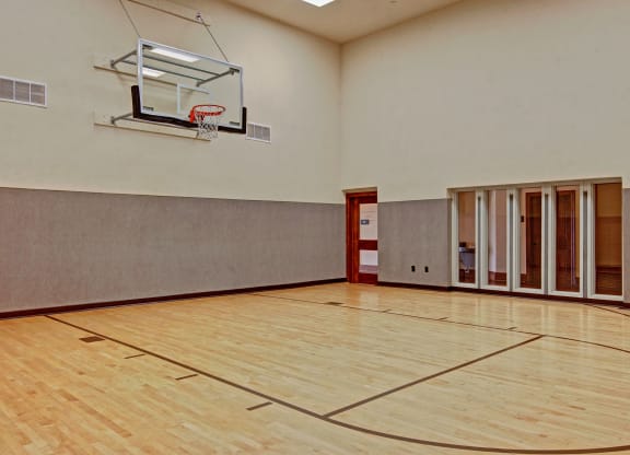 Stoneleigh Basketball Court