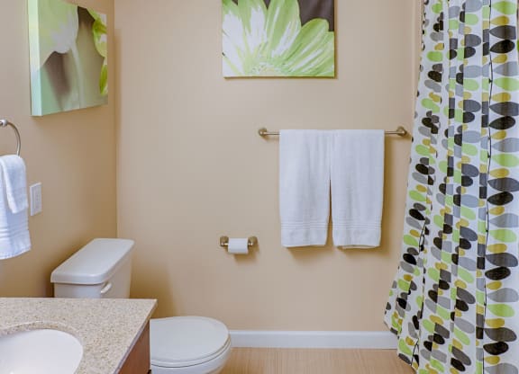 Modern bathroom here at Dakota Ridge Apartment Homes with beige walls, featuring a granite countertop, white towels on a metal rack, floral artwork, and a shower curtain with green and gray patterns.