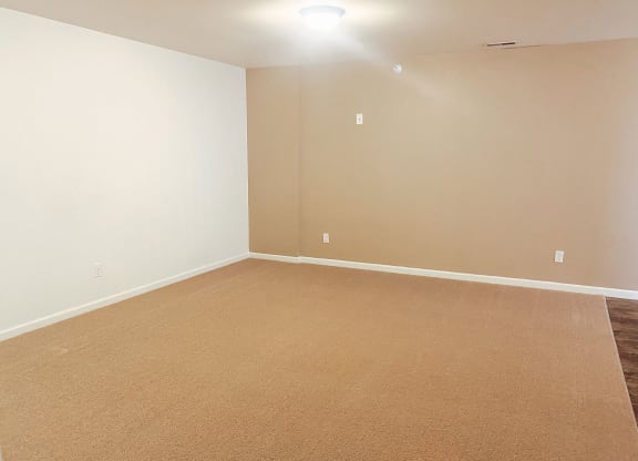 Empty living room here at Phoenix Ridge Apartment Homes with beige carpet, two-tone walls, and a single ceiling light. The ambiance is neutral and clean, ready for furnishing.