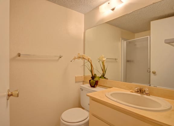 Fairgreen Bathroom Odessa, Texas Apartment