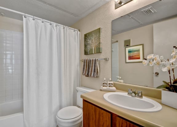 Northridge Court Apartments Bathroom Apartment for rent in Midland, TX