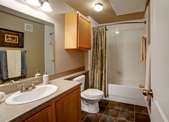 The Palms at Briarwood Bathroom