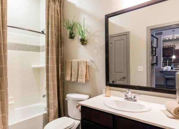 Sorrel Fairview Bathroom Apartments in Fairview, TX