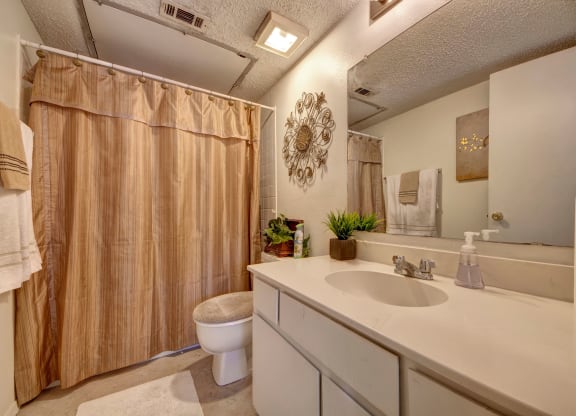 Summertree Place Bathroom Apartment for rent in Odessa, TX