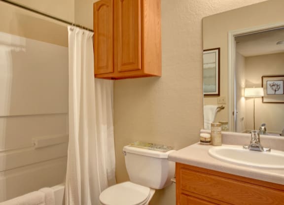 Residence at Heritage Park Bathroom Abilene Apartments