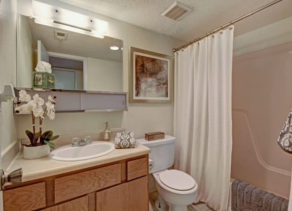 Trinity Place Bathroom Midland Texas Apartment