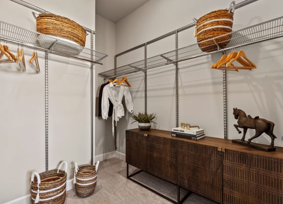 Waterford Market Apartments Walk-In Closet Apartments in Frisco, TX