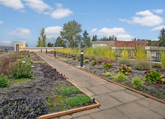 Heritage Hill Rooftop Apartments in Renton, WA