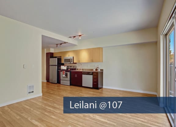 Leilani @ 107 Kitchen Apartments in Seattle, WA