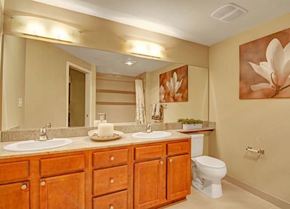 The Artiste Bathroom Apartments in Shoreline, WA