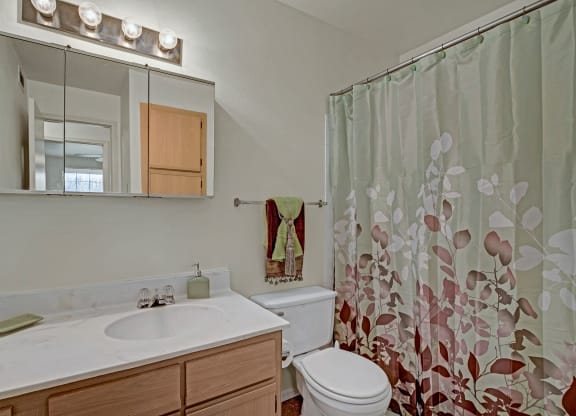 Small bathroom with marble countertop, wooden cabinets, and a mirrored medicine cabinet. A floral shower curtain adds a touch of elegance at St. James Place Apartments.