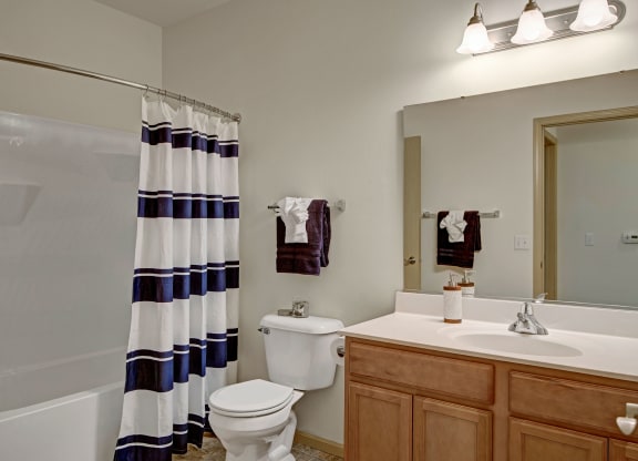 Swan Creek Bathroom Apartments in Fitchburg, Wisconsin