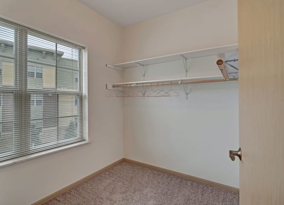 Swan Creek Walk-In Closet Apartments in Fitchburg, Wisconsin