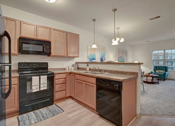 Swan Creek Kitchen View Apartments in Fitchburg, Wisconsin