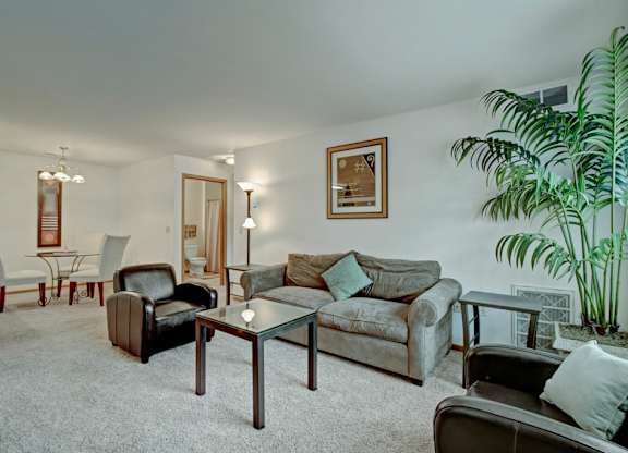 A living room with a couch, chairs, and a potted plant.