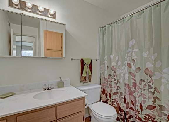 A clean bathroom here at St. James Place with a light wood vanity, white countertop, and a large mirror with bright lighting. A bathtub-shower combo and soft neutral tones create a fresh and inviting atmosphere.