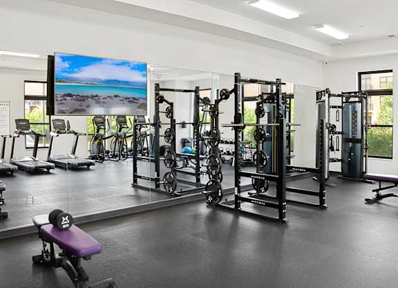 A gym with a purple bench and a television screen showing a beach.