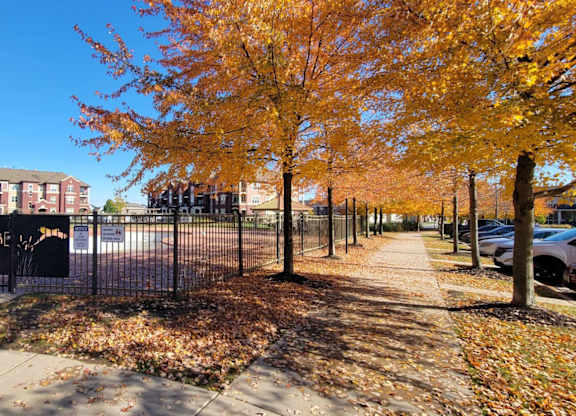 A scenic sidewalk here at Van Buren Place lined with mature trees and vibrant seasonal foliage. A nearby pool area and surrounding apartment buildings create a peaceful, welcoming neighborhood atmosphere.