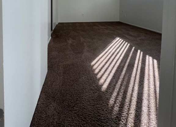 A room with a carpeted floor and a door on the left side.