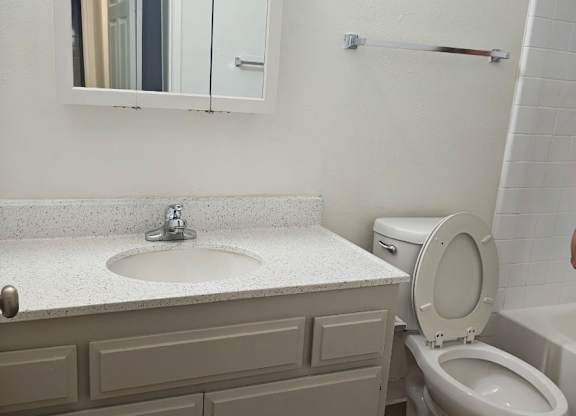 A white toilet sits next to a sink in a bathroom.