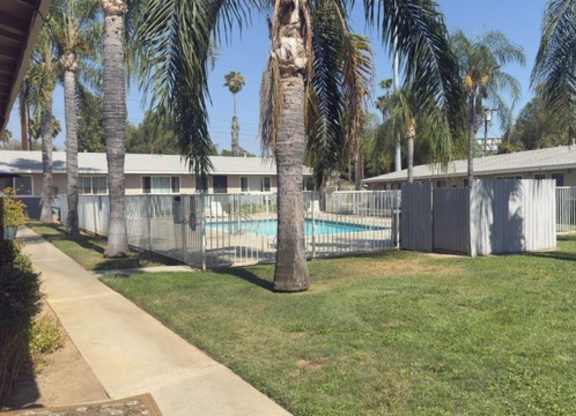 A pool surrounded by a fence and palm trees.