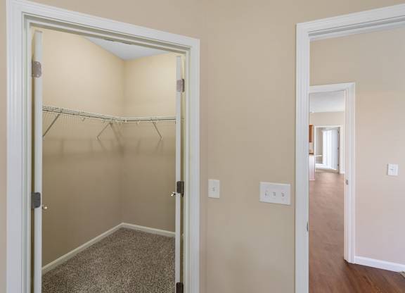 A white closet with a carpeted floor and a white door.