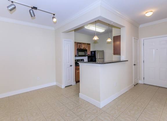 A kitchen area with a counter and cabinets.