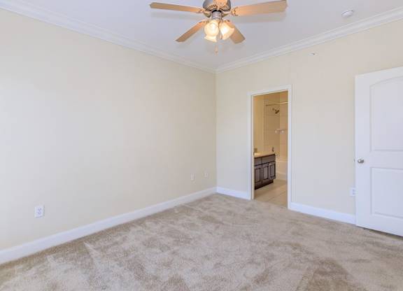 A room with a ceiling fan and carpeted floor.