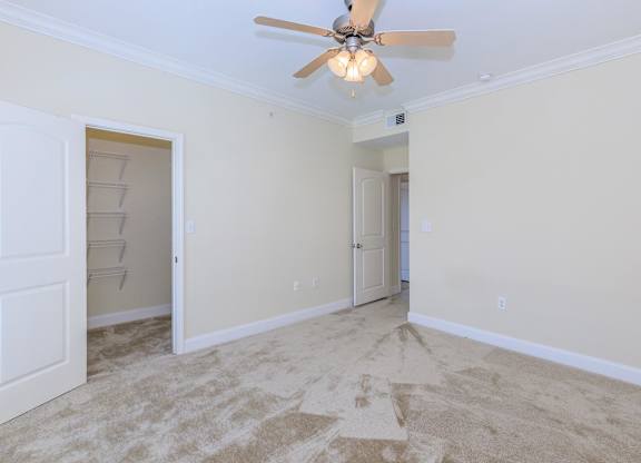 A room with a ceiling fan and carpeted floor.