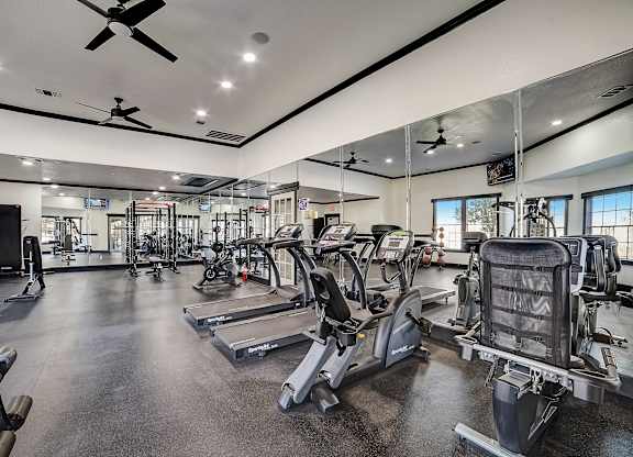 Fitness center cardio lineup with treadmills, bikes, and mirrored training wall.