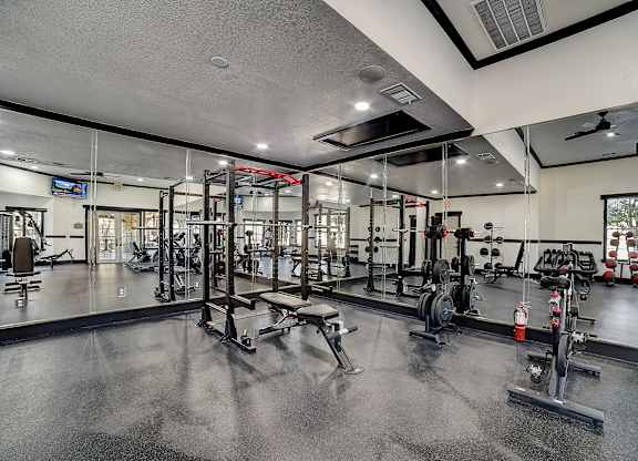 Strength-training zone with squat rack, mirrored wall, and free-weight stations.