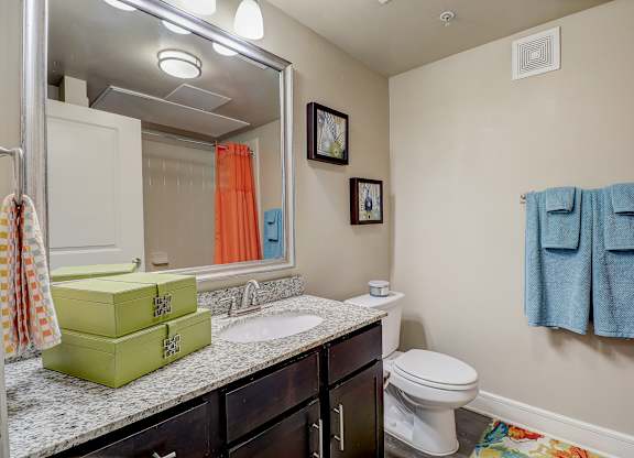 a bathroom with a sink and toilet and a mirror