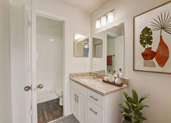 sarasota fl apartments and townhomes for rent