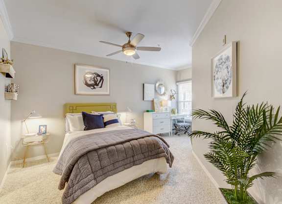 Apartments in East Dallas for lease 