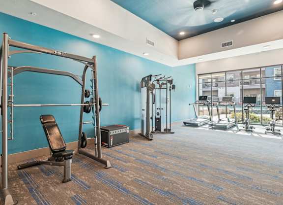 A gym with a variety of equipment including a weight bench, a squat rack, and a treadmill.