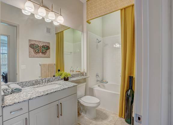 a bathroom with a shower toilet and sink and a mirror