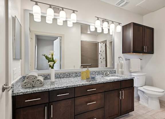 a bathroom with a vanity and a toilet and a mirror