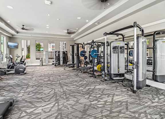 A spacious gym with a variety of equipment and a patterned carpet.