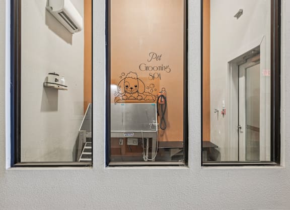 A window with a view of a room with a dog and a cat on the wall.